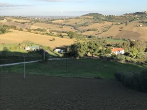 MORROVALLE (MC)